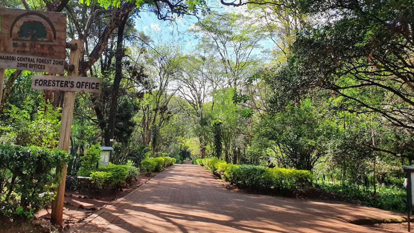 The Nairobi Arboretum, Nairobi, Kenya, Kenya